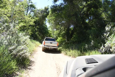 DSC_5925 (Large).JPG